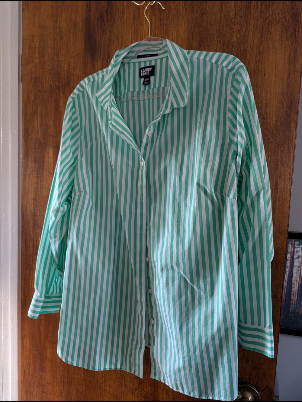 Lands' End Mint Green & White Stripe Button-Down Shirt